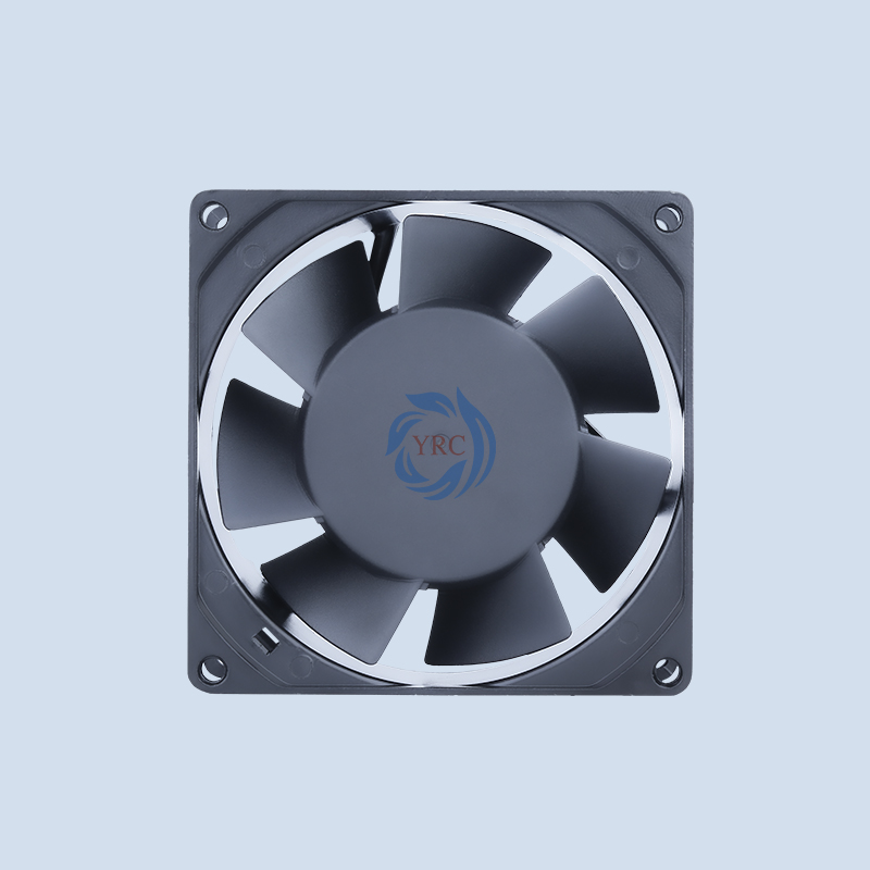 YRD8038(2).jpg